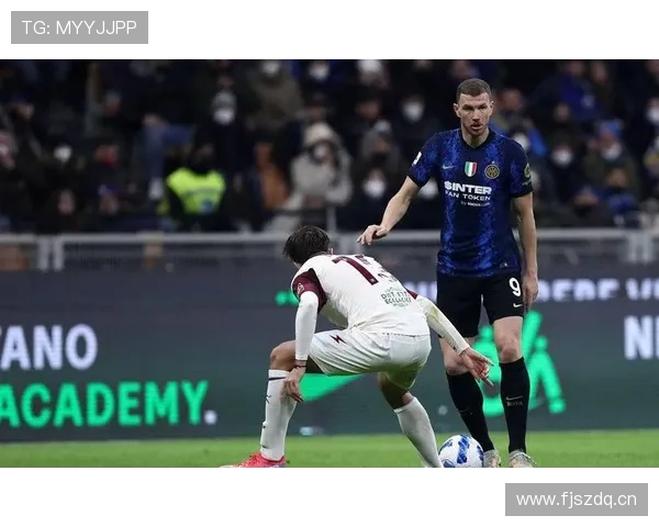 主场之力：分析球队在主场表现稳健的原因与影响