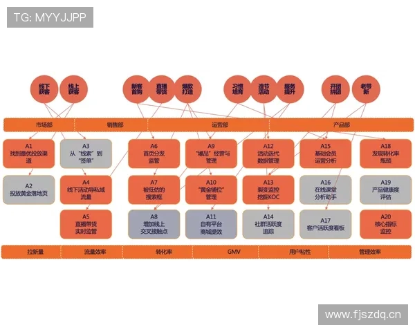 居莱尔战术定位模糊：角色与体系适配问题分析